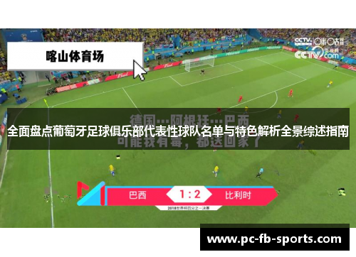 全面盘点葡萄牙足球俱乐部代表性球队名单与特色解析全景综述指南