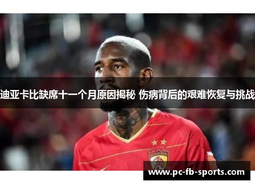 迪亚卡比缺席十一个月原因揭秘 伤病背后的艰难恢复与挑战